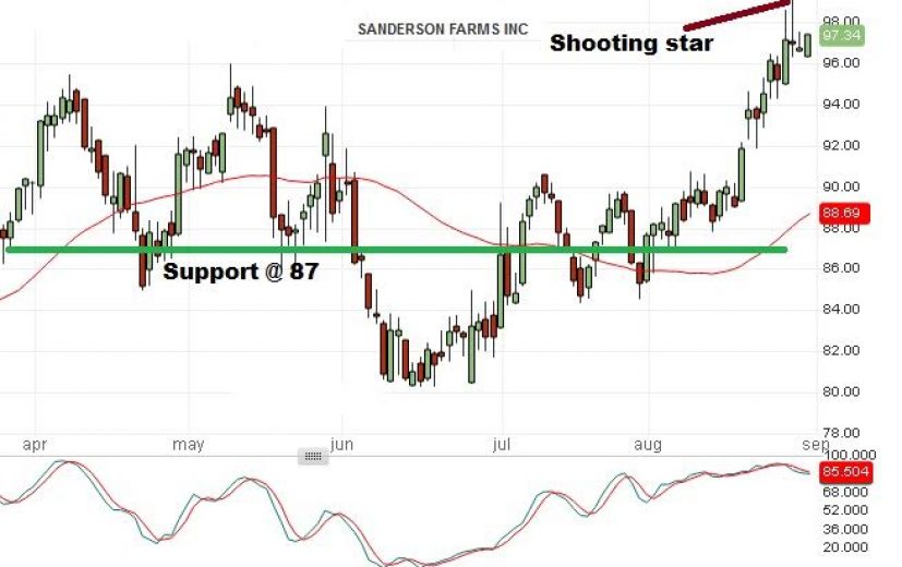 Sanderson Farm Stock Price: August 31st 2016